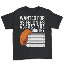 Load image into Gallery viewer, Capybara Shirt, Wanted For 93 Felonies Across The Country Cute Tee, - Youth Tee - Black