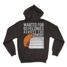 Load image into Gallery viewer, Capybara Shirt, Wanted For 93 Felonies Across The Country Cute Tee, - Hoodie - Black