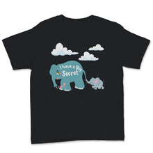 Load image into Gallery viewer, Pregnancy Announcement Shirt, I Have A Big Secret Tshirt, Cute
