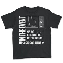 Load image into Gallery viewer, Cat Shirt, Emotional Breakdown Place Cat Here Funny Tee, Fur Parent - Youth Tee - Black

