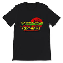 Load image into Gallery viewer, Vietnam Veteran Shirt, Agent Orange Retired Vietnam Military, Vietnam
